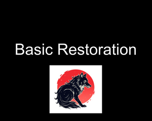 BASIC RESTORATION - TCG Restoration Service